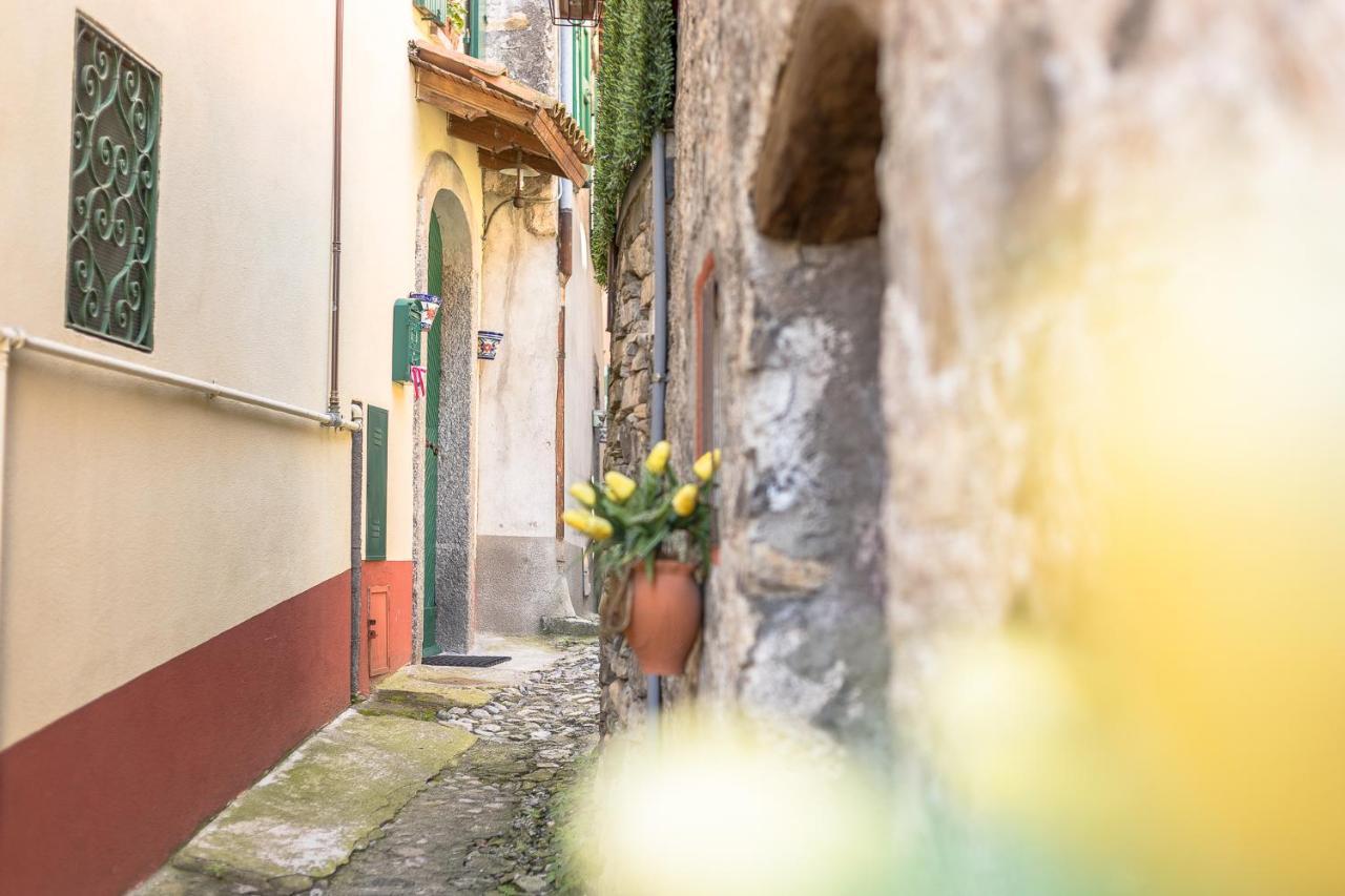 Albergo Diffuso Ca' Spiga ลาโญ ภายนอก รูปภาพ